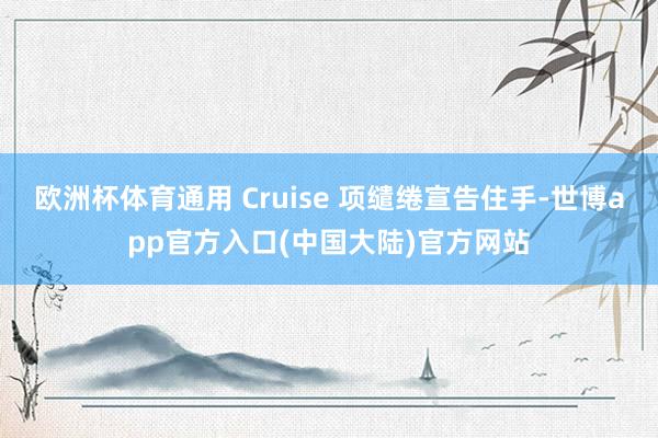 欧洲杯体育通用 Cruise 项缱绻宣告住手-世博app官方入口(中国大陆)官方网站