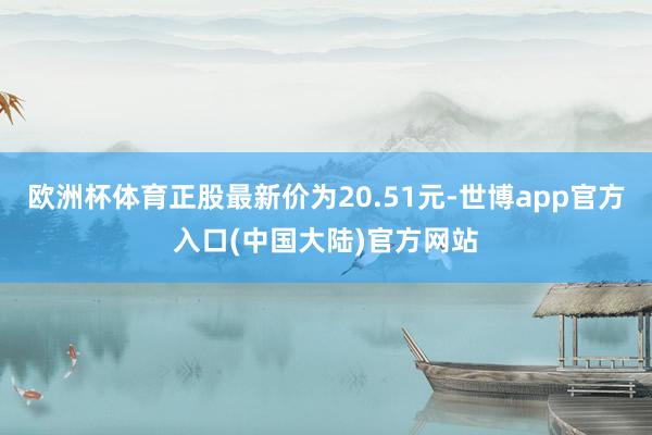 欧洲杯体育正股最新价为20.51元-世博app官方入口(中国大陆)官方网站