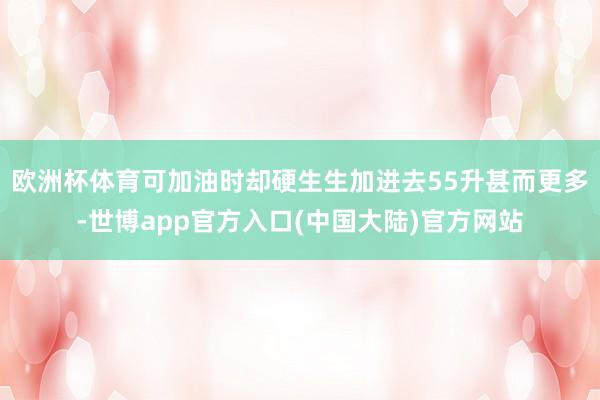 欧洲杯体育可加油时却硬生生加进去55升甚而更多-世博app官方入口(中国大陆)官方网站