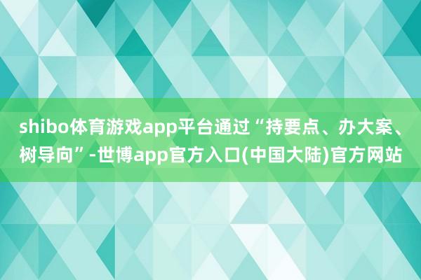 shibo体育游戏app平台通过“持要点、办大案、树导向”-世博app官方入口(中国大陆)官方网站