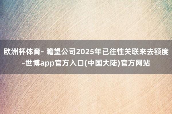 欧洲杯体育- 瞻望公司2025年已往性关联来去额度-世博app官方入口(中国大陆)官方网站