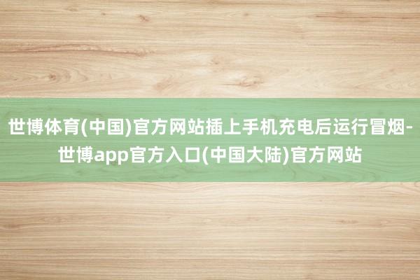 世博体育(中国)官方网站插上手机充电后运行冒烟-世博app官方入口(中国大陆)官方网站